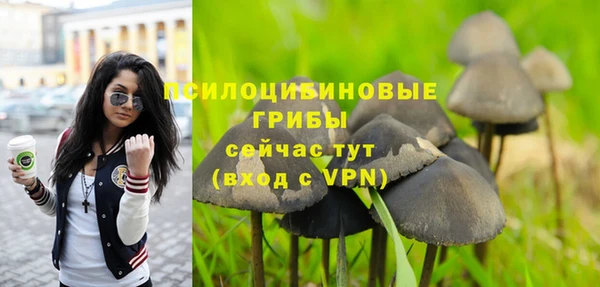 прущие крисы Богородск