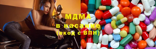 сатива Бородино