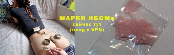 сатива Бородино