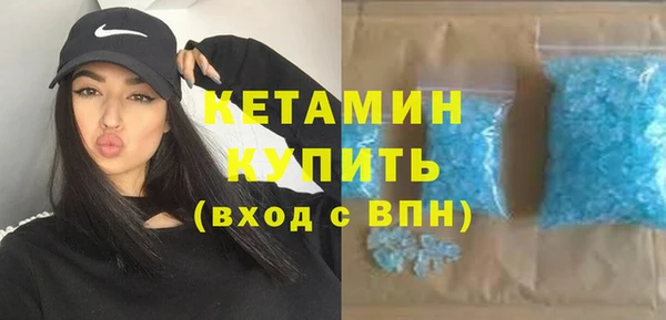 сатива Бородино