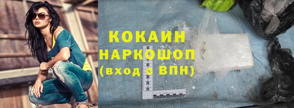 сатива Бородино