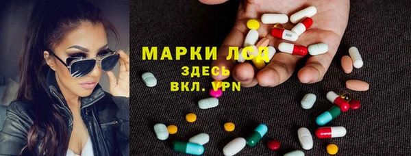 твердый Богданович