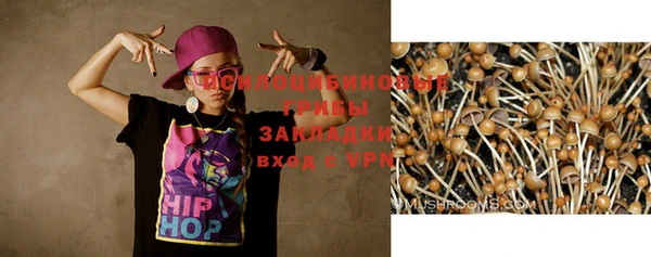 ПСИЛОЦИБИНОВЫЕ ГРИБЫ Богородицк