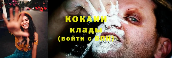 твердый Богданович