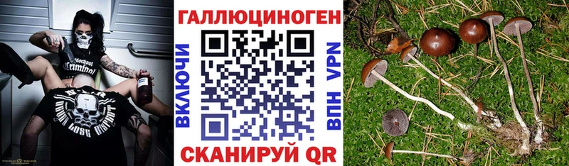 Галлюциногенные грибы ЛСД  Бузулук 